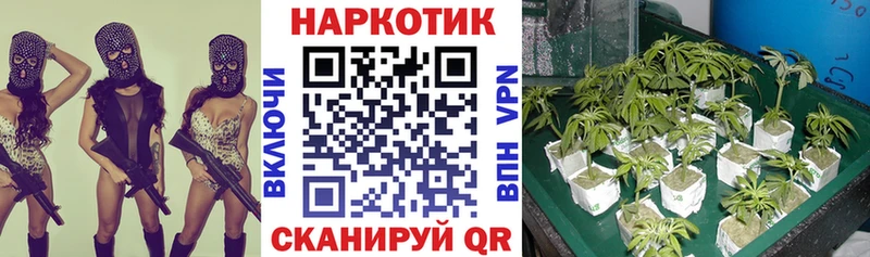  Cocaine Новодвинск