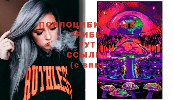 крисы Ростов