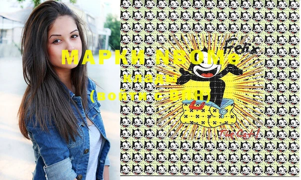 прущие грибы Аркадак