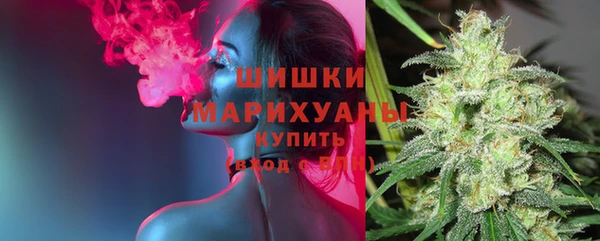 крисы Ростов