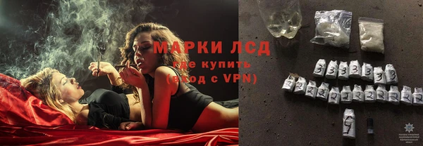прущие грибы Аркадак