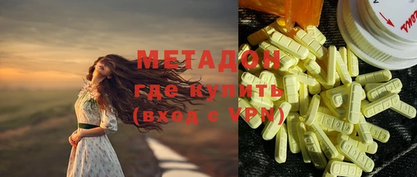прущие грибы Аркадак