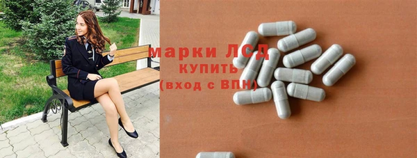 прущие грибы Аркадак