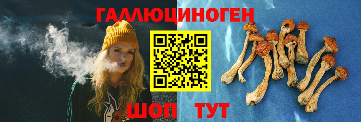 Новодвинск  как найти наркотики  Псилоцибиновые грибы Magic Shrooms  Вход с VPN  Галлюциногенные грибы Cubensis 